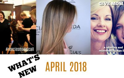 Our April Highlights: Mother’s Day Gift Ideas, Model Call, Water Month, Work With Us on Saturdays