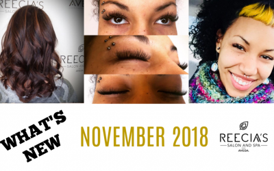 Our November Highlights: Happy Thanksgiving, Aveda Pure Pro Event, Ladies Night Out, Before and Afters, Reviews