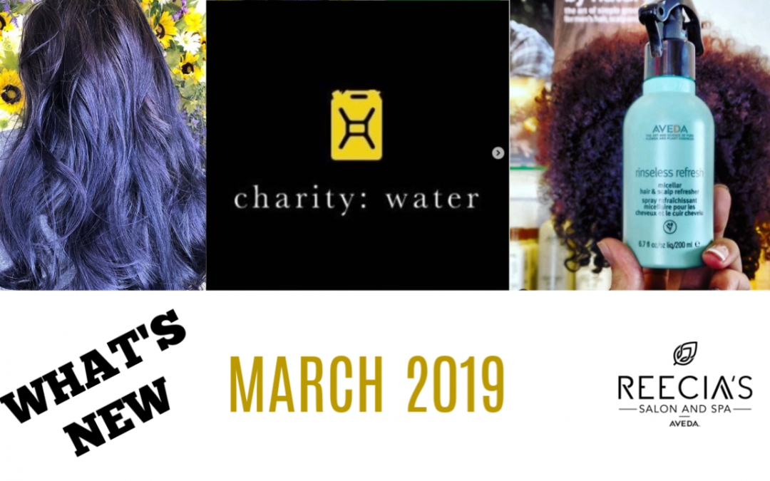 Our March 2019 Highlights: Aveda Shine Treatments, Aveda Water Month 2019 , Before and Afters, Meet Our Team