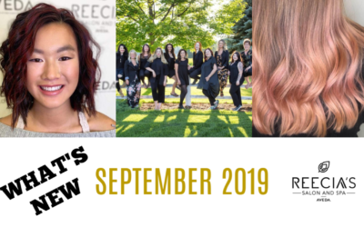 Our September 2019 Highlights: Microblading and Brow Enhancement, Feed My Lips Color Balm, Before and Afters