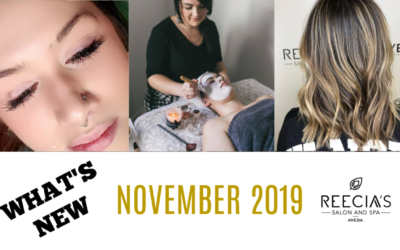 Our November 2019 Highlights: Happy Thanksgiving, Ladies Night Out, Aveda Shine Treatment, Before and Afters