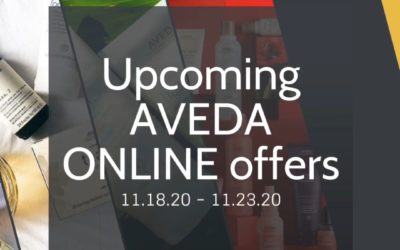 Reecia’s Salon – Upcoming ONLINE Aveda Offers and Savings – 11.20.20 – 11.24.20