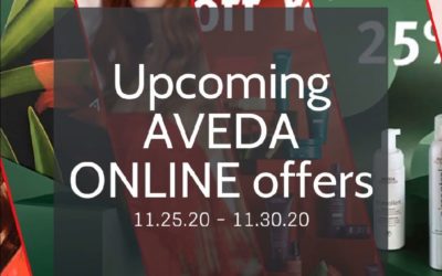 Reecia’s Salon – Upcoming ONLINE Aveda Offers and Savings – 11.25.20 – 11.30.20