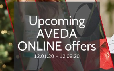 Reecia’s Salon – Upcoming ONLINE Aveda Offers and Savings – 12.02.20 – 12.09.20