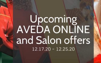 Reecia’s Salon – Upcoming ONLINE and Salon Aveda Offers and Savings – 12.17.20 – 12.25.20